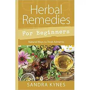 Herb Remedies for Beginners by Sandra Kynes