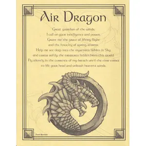Air Dragon poster