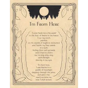 Im From Here poster
