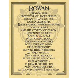 Rowan Tree poster