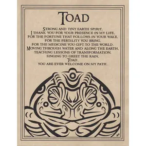 Toad Blessing poster