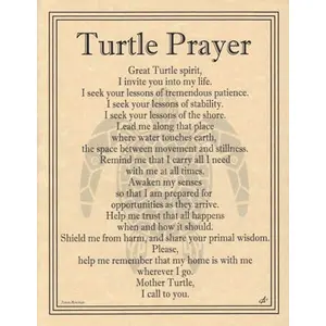 Turtle Prayer poster