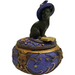 Magical Cat Box