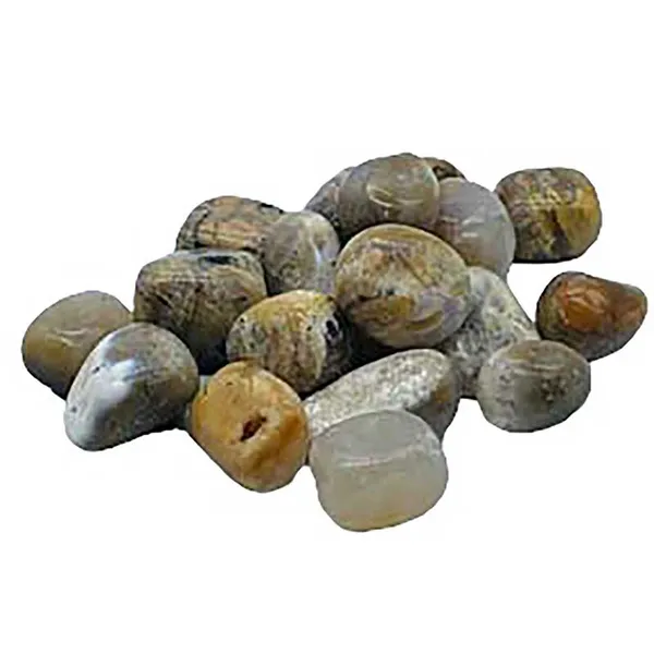 1 lb Agate, Dendritic tumbled