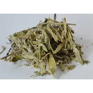 Sage Leaf cut 1oz (Salvia officinales)