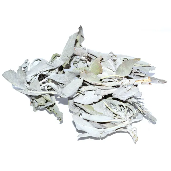 White Sage 1oz (Salvia Apiana)
