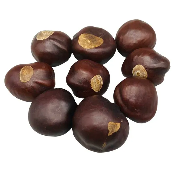 1 Lb Buckeyes whole