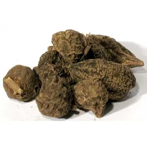 High John Root 1oz (Ipomoea jalapa)