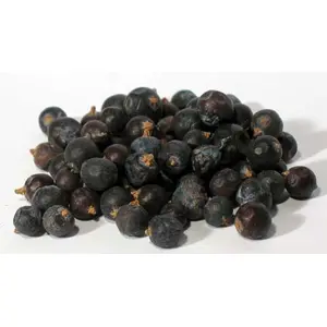 Juniper Berries Whole 2oz (Juniperus communis)