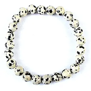 8mm Jasper, Dalmation