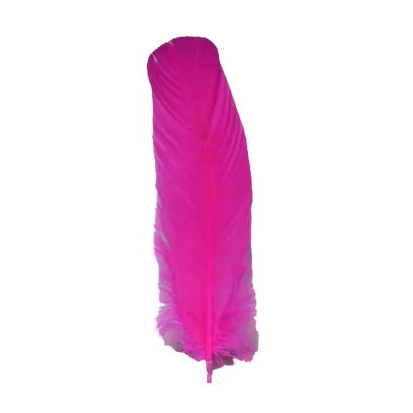 (set of 100) Peacock feather