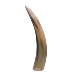 12" Horn End