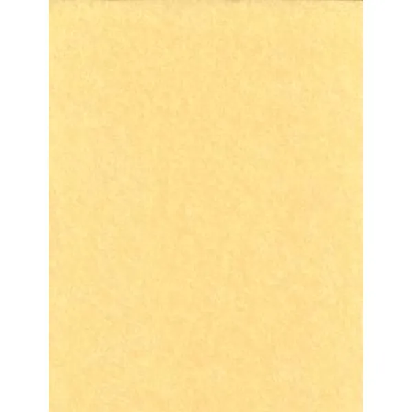 Light Parchment Paper 25 Pack (8 1/2" x 11")