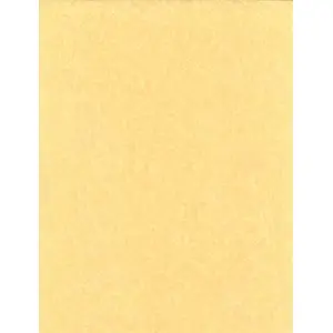 Light Parchment 5 Pack (8 1/2" x 11")