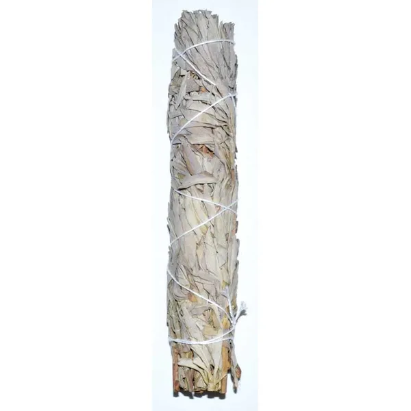 9" White Sage smudge stick