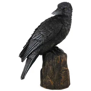 Backward Looking Raven 6"